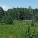 Prelepi građevinski plac na Divčibarama – IZUZETNA lokacija!